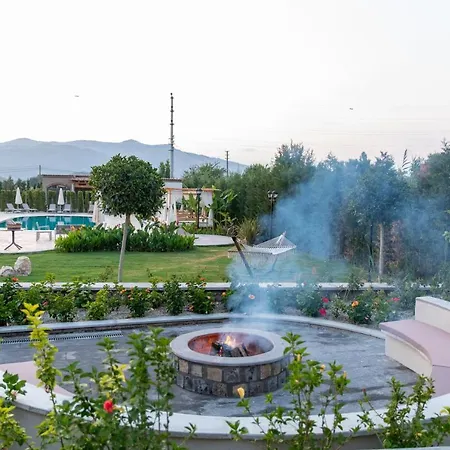 Zigo's فندق 4*